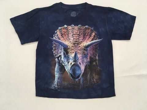 Dinosaurs- Charging Triceratops Mountain Youth Shirt