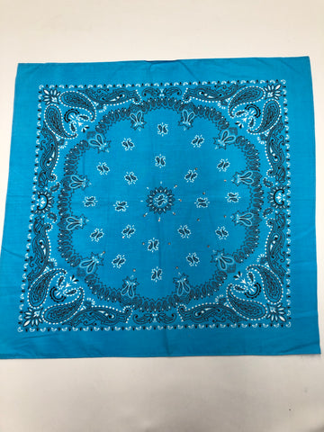 Bandana- Paisley