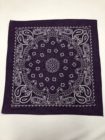 Bandana- Paisley